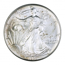 Amerikai Sas ezüst 1 Dollár 1993