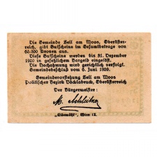 Ausztria Notgeld Zell am Moos 20 Heller 1920