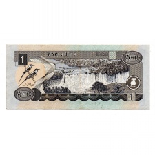 Etiópia 1 Birr Bankjegy 1998-2006 P46d