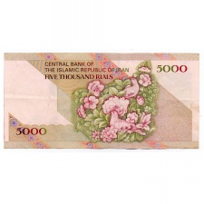 Irán 5000 Rial Bankjegy 1993 P145a