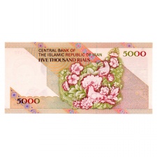 Irán 5000 Rial Bankjegy 1993 P145d