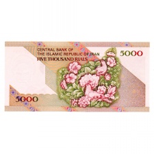 Irán 5000 Rial Bankjegy 1993 P145e
