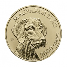 Magyar Vizsla 2000 Forint 2019 Proof, prospektussal