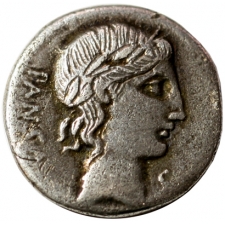 Pansa denar i.e. 90