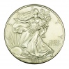 Amerikai Sas ezüst 1 Dollár 2009