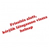 Mozaik 1975/9 Az úszó erőd Digedag képregény