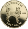 Mudi 2000 Forint 2022 Proof, prospektussal