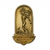 Tornász Világbajnokság Budapest bronz gomblyukjelvény 1934